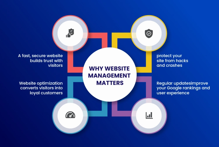Website Design, Development & Maintenance 2 Infographic titled "Why Website Management Matters" with icons and text highlighting benefits like security, optimization, trust, and improved rankings.